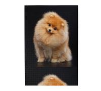 Cachorro de Perro Pomerania Adorable, Rompecabezas de 1000 Piezas, Rompecabezas de Madera para Toda la Familia, decoración de Pared para Adultos y Adolescentes.
