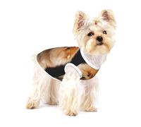 Cachorro de Perro Pomerania Lindo,Camiseta de algodón sin Mangas para Mascotas, Chaleco Transpirable, Suave y elástico para Cachorros,L