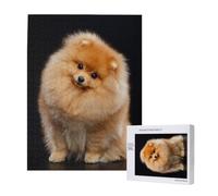 Cachorro de Perro Pomerania Lindo,Rompecabezas de Madera de 500 Piezas para Adultos y Adolescentes.