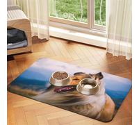 Cachorro de Perro Pomerania Lindo,Tapete Impermeable para Comida de Mascotas, manteles Individuales para Comida y Agua para Perros y Gatos, tapetes de Cuero sintético para Comida.,40x60cm
