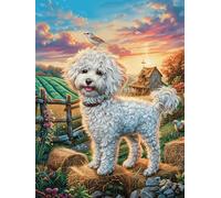 Cachorro de Westie en un sendero rocoso Rompecabezas 1000 Piezas Cartón Grueso Para Coleccionistas Sueño Mágico de Ciencia Ficción Mejora Memoria Desarrollo Cognitivo Diversión Familia Regalo Reyes Ma