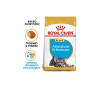 Cachorro Schnauzer Miniatura Royal Canin | 1,5 kg