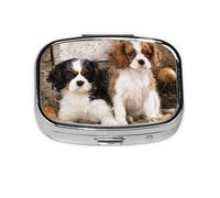 Cachorros Cavalier King Charles Spaniel Pequeños, Pastillero cuadrado para bolsillo o monedero, pequeño contenedor de pastillas, organizador de pastillas de viaje