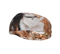Cachorros de Cavalier King Charles Spaniel en otoño. Diademas para hombre y mujer. Diadema para correr. Cinta para el pelo que absorbe el sudor.
