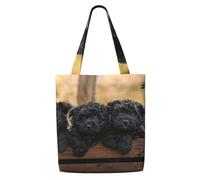 Cachorros de la familia Affenpinscher Perros negros Mono,Bolsas de supermercado reutilizables, bolsas de compras, bolsas de lona de gran capacidad, bolso de hombro