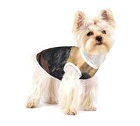 Cachorros de la Familia Affenpinscher Perros Negros Mono,Camiseta de algodón sin Mangas para Mascotas, Chaleco Transpirable, Suave y elástico para Cachorros,L