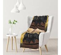 Cachorros de la Familia Affenpinscher Perros Negros Mono,Manta Suave y cálida de Franela Antibolitas, 76 x 102 cm
