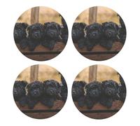Cachorros de la Familia Affenpinscher Perros Negros Mono,Posavasos Redondos de Corcho MDF, Almohadilla para Tazas, Juego de 4 Posavasos para Bebidas