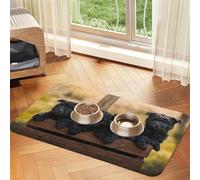 Cachorros de la Familia Affenpinscher Perros Negros Mono,Tapete para Comida de Mascotas, manteles Individuales de Cuero sintético para Gatos y Perros,40x60cm