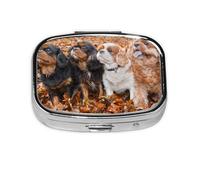 Cachorros de otoño Cavalier King Charles Spaniel, Pastillero cuadrado para bolsillo o monedero, pequeño contenedor de pastillas, organizador de pastillas de viaje