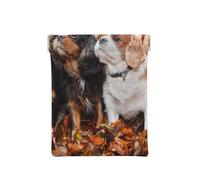 Cachorros de otoño Cavalier King Charles Spaniel, Squeeze Top Wallet Bolsa de Almacenamiento para Mujer Monedero pequeño Bolsa de Cambio