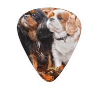 Cachorros de otoño de Cavalier King Charles Spaniel,12 púas de guitarra, 3 grosores diferentes para guitarra acústica, bajo y ukelele