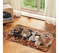 Cachorros de otoño de Cavalier King Charles Spaniel,Tapete para Comida de Mascotas, manteles Individuales de Cuero sintético para Gatos y Perros,30x45cm