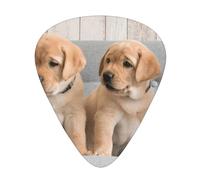 Cachorros de perro golden retriever y labrador,12 púas de guitarra, 3 grosores diferentes para guitarra acústica, bajo y ukelele
