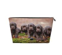 Cachorros Labrador Familia Cachorros Pequeños Marrón, Bolsa de artículos de tocador Bolsa de Maquillaje Bolsa de cosméticos Bolsa de artículos de tocador de Viaje portátil