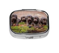 Cachorros Labrador Familia Cachorros Pequeños Marrón, Pastillero cuadrado para bolsillo o monedero, pequeño contenedor de pastillas, organizador de pastillas de viaje