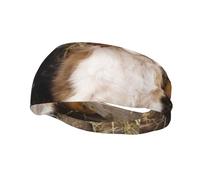 Cachorros pequeños de Cavalier King Charles Spaniel, cintas para el cabello para hombres y mujeres, diadema para correr, diadema que absorbe el sudor, para el gimnasio.