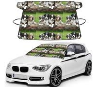 Cachorros pequeños de Pastor Australiano,Funda Protectora para Parabrisas de Coche, Resistente a la Nieve, Hielo, Sol, Rayos UV, Polvo y Agua. Apta para la mayoría de los Coches.