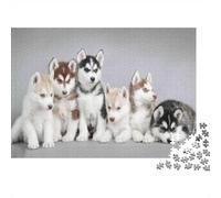 Cachorros Siberianos Husky Puzzle 1000 Piezas para Amantes De Puzzles Noche En Familia Actividad Doméstica Más Vendido para Enmarcar Cartón Robusto 52x38cm/1000pcs