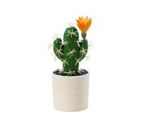Cactus artificial,Plantas de cactus artificiales,Plantas en macetas falsas - Pequeñas suculentas artificiales para escritorio de interior, suculentas falsas para decoración de tiendas