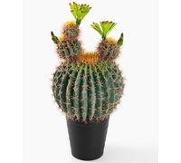 Cactus artificial rústico grande de 30 pulgadas en flor con espinas suaves, decoración de plantas que incluye una atractiva maceta negra mate a juego, hermosas plantas suculentas sintéticas para