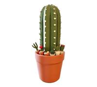 Cactus Chess Set, 3D Printed Board, 9.84x5.91in Roll Up Portable Game, Versatile Table Ornament, Compact Travel Design for Adults, Beginners, Home, Offices, Bookshelf, Birthday Party