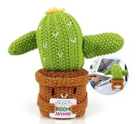 Cactus de flores positivas Felicidad de héroe completo hermosa que vivimos al mismo tiempo que vuelves a estar allí regalos para mujeres con cáncer mujeres gran regalo de felpa personas discapacitadas