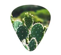 Cactus Fresh - Juego de 12 púas de guitarra con caja de almacenamiento, 3 grosores de 0,46/0,71/0,96 mm, púas ABS para guitarra, ukelele y bajo