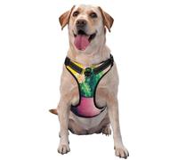 Cactus In A Pink Pot - Arnés para perro, ajustable, reflectante, Oxford, fácil control, tamaño mediano y grande