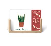 Cactus Potted Suculents Green 2022 - Calendario de escritorio (12 meses)