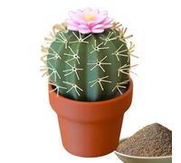 Cactus Sal Y Pimenteros - Pot Espinas Saladas | Cacttus Shape Kitchen Condiment |, Mini Lindo Para El Juego De Molinillo, Plantas Macetas De Flores Necesidades Diarias Domésticas Jarro De Condimento