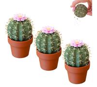 Cactus Salt and Pepper Shaker, Spikey Spices, 3D Printed Cute Mini Spice Containers, Refillable Salt and Pepper Grinder Set for Kitchen or Outdoor Use (3)