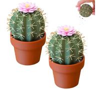Cactus Salt and Pepper Shaker, Spikey Spices, 3D Printed Cute Mini Spice Containers, Refillable Salt and Pepper Grinder Set for Kitchen or Outdoor Use (2)