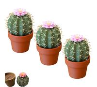 Cactus Salt and Pepper Shaker, Spikey Spices - Juego de molinillos de sal y pimienta impresos en 3D, mini agitadores de especias de cocina reutilizables (3)