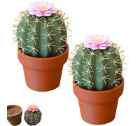Cactus Salt and Pepper Shaker, Spikey Spices - Juego de molinillos de sal y pimienta impresos en 3D, mini agitadores de especias de cocina reutilizables (2)