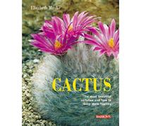 Cactus: The Most Beautiful Varieties and How to Keep Them Healthy