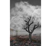 Cada Um Carregue A Sua Culpa (ebook)