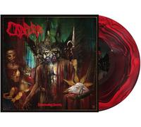 Cadaver – Hallucinating Anxiety – Vinilo – Edel