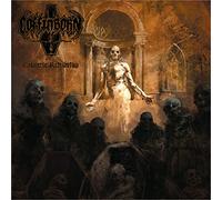 Cadaveric Retribution