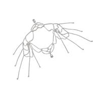 Cadena de aleación de moda para el cuerpo, delicado detalle de flecos, accesorio ideal para trajes de moda día a noche, versátil cadena de diamantes de imitación