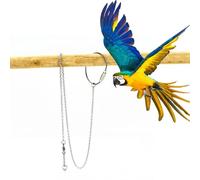 Cadena de pie de loro - 0,75 cm/0,3 Pulgadas) Correa para caminar de aves para mascotas, anillo de tobillo de acero inoxidable, arnés de pájaro reutilizable | La correa