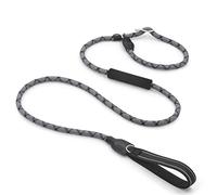 Cadena P reflectante grande collar deslizante para mascotas correa para caminar a prueba de explosiones cuerda de escalada para perros cómoda asa doble (color: A Tamaño: 12 mm x 180 cm) (C 10 mm x 180