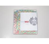 Cadena SRAM Rainbow PC XX1 Eagle 12 Velocidades POWER CHAIN Power-Lock