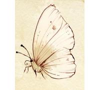 Caderno Escolar: Linhas Simples