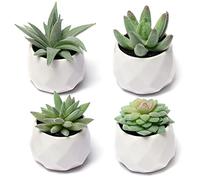 CADNLY Fake Succulent Plant Set - Artificial Plants for Women Desk - Realistic Faux Succulents in Ceramic Pots - Mini Green Decor for Bedroom Bathroom Office Shelf 4 Pack