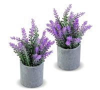 CADNLY Planta Artificial de Lavanda en macetas, decoración de Flores de Lavanda sintética, Flores Falsas, decoración Morada, Planta en Maceta, baño, Dormitorio, Cocina, casa de Campo, Paquete de 2