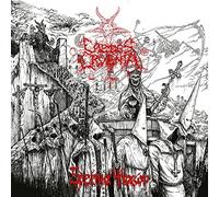 Caedes Cruenta - Ruins Of Souls [Vinilo]
