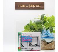 CAETANO VELOSO & GAL COSTA-DOMINGO-JAPAN CD Ltd/Ed Nuevo