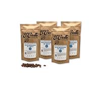 Café Descafeinado al Agua EN GRANO - Cafés El Criollo® | Café de Especialidad 100% Arábica y Tueste Natural | Pack de 4x250 gr (1kg)