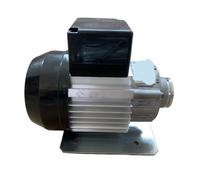 Cafetera Bomba rotativa de acero inoxidable y motor de 300W, compatible con cafetera La Marzocco(Original 300w motor)